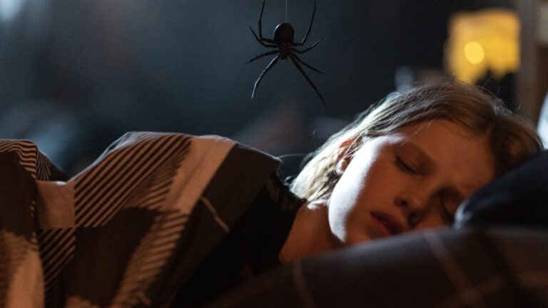 Alyla Brown Sting Furiosa